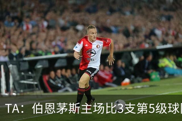 TA：伯恩茅斯主场比3支第5级球队还小，伊劳拉如今的压力远超从前